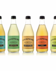 Goodmore Kombucha (24x355ml) - Wholesale