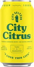 Load image into Gallery viewer, City Seltzer Sparkling Water (24x355ml) - Wholesale
