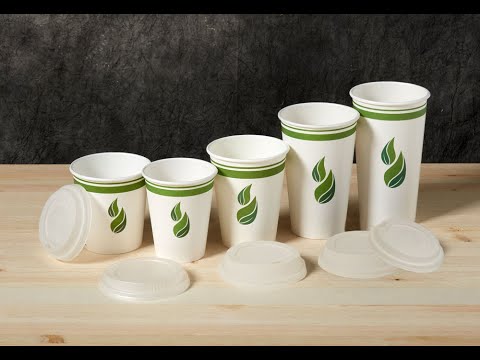 Eco Guardian Compostable Cups -  Wholesale